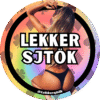 Lekkersjtök Sjtickerset C - 40 sjtickers Vasteloavendj